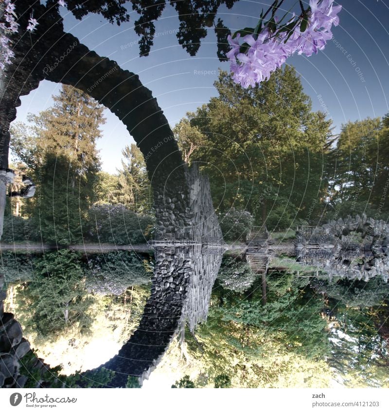 Rakotzbrücke Rakotz Sea Kromlau Kromlauer Park Bridge Stone bridge Lake Water Pond Rhododendrom Rhododendron Park reflection Reflection Tree Spring Sky