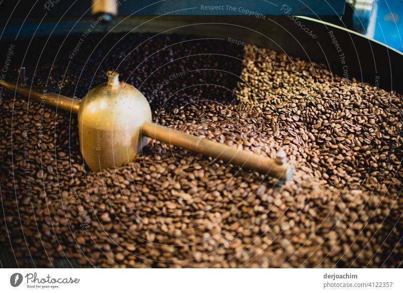 In the coffee roasting plant. Here the beans are dried. Coffee bean Beans Close-up Aromatic roasted Brown Day Caffeine Morning