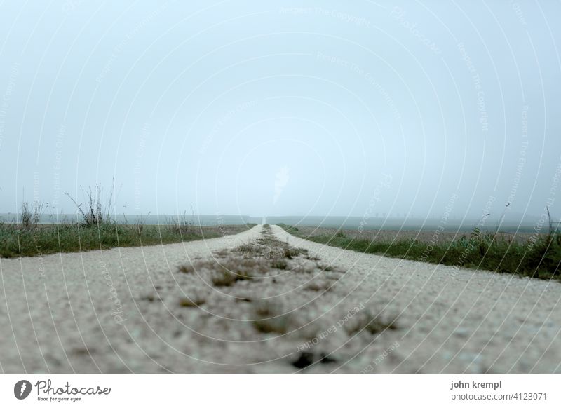 Road to nowhere Street Lanes & trails off the beaten track Exterior shot Field Nature Meadow Grass Deserted Sky hazy Misty atmosphere Landscape Direct