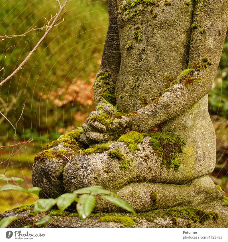 Silent and devout, the statue kneels in the cemetery and watches over the souls of the deceased Statue Stone pray Religion and faith Belief Prayer Spirituality