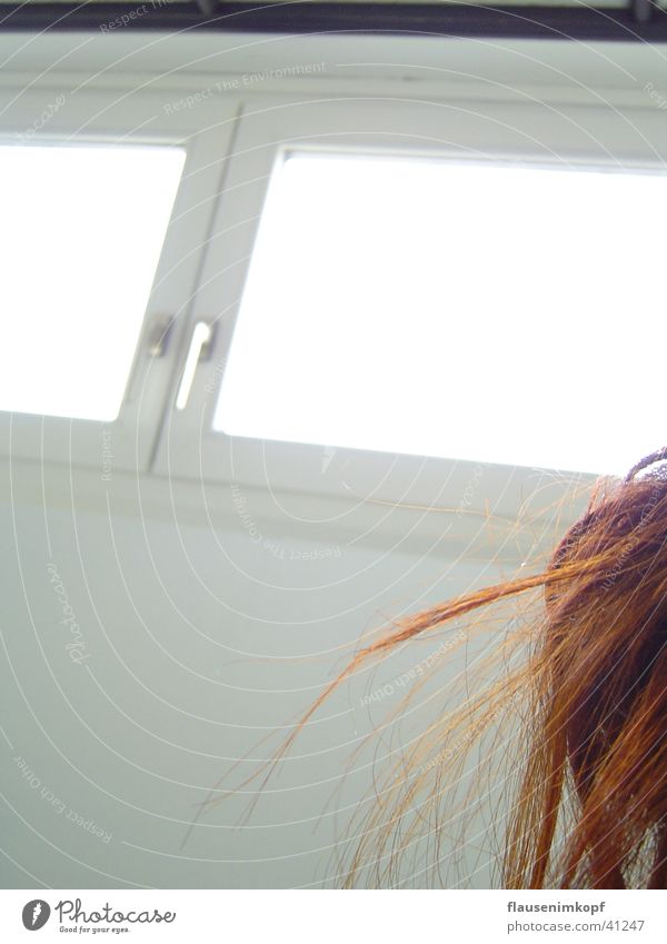 hairy! Red Window White Wall (building) Snapshot Hair and hairstyles wild bun