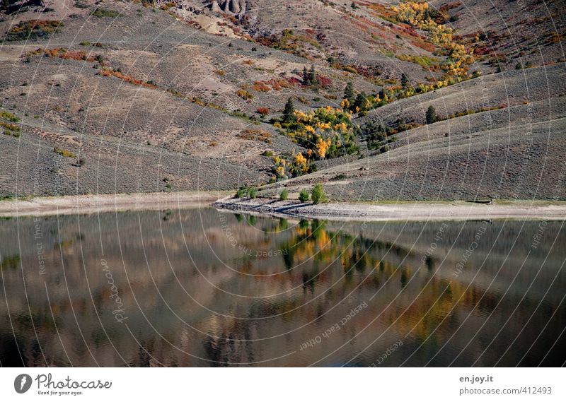 lifeline Environment Nature Landscape Plant Water Tree Bushes Hill Lakeside Brown Yellow Climate Lanes & trails Colorado Autumn Autumnal Colour photo