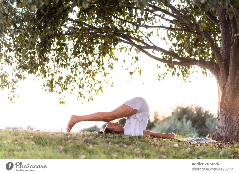 Man meditating in green meadow with lush tree yoga man meditate harmony summer lawn grass white park outdoors calm healthy lifestyle relax peaceful asana