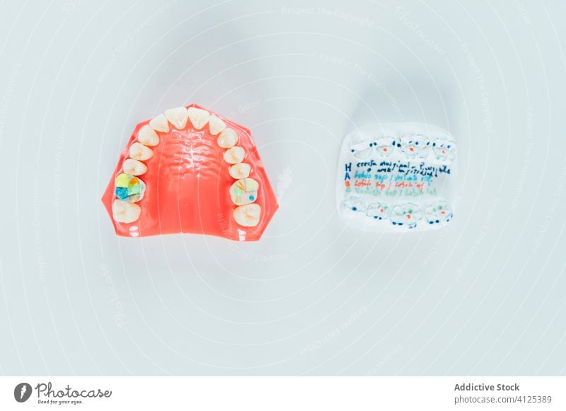 Closeup of a denture dental teeth dentist tooth mouth prosthesis dentistry health medicine medical healthy care prosthetic artificial smile white model plastic