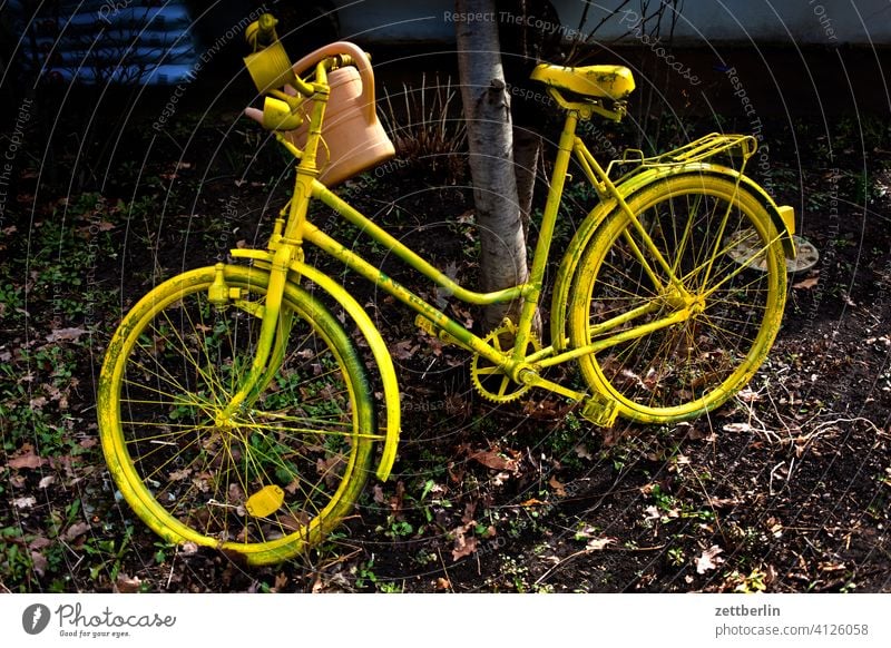 Yellow bike - 7500 Evening Branch Tree Dark Twilight Garden Sky allotment Garden allotments Deserted Nature Garden plot trunk shrub Copy Space Depth of field