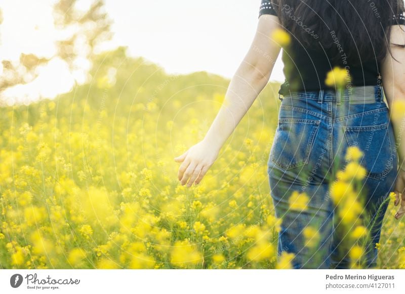 young woman touching flowers in a field with sunlight beautiful female lifestyle summer nature girl freedom relaxation beauty outdoors spring background person