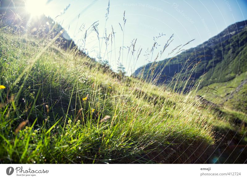 mountain world Environment Nature Landscape Plant Beautiful weather Grass Hill Mountain Natural Green Colour photo Exterior shot Deserted Morning Day Sunlight