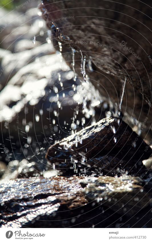 drip drop Environment Nature Water Drops of water Rock Stone Dark Wet Cave Colour photo Subdued colour Exterior shot Close-up Detail Macro (Extreme close-up)