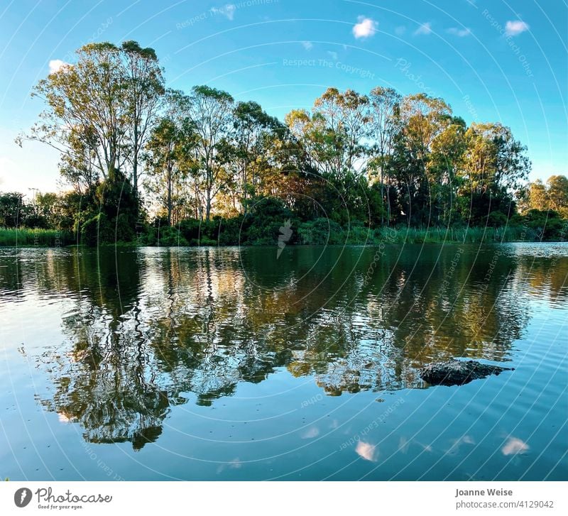 Trees, clouds and sky reflected in a lake during late afternoon. Reflection Reflection in the water Lake Reflection of the clouds in the lake Water Nature