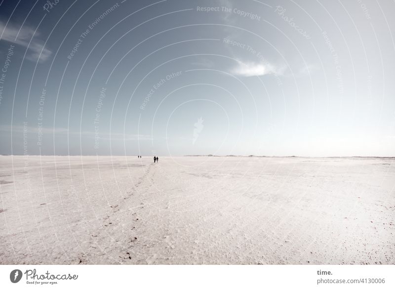 No way too far Beach Horizon Sand Landscape Sky cloud wide afar Territory coast North Sea Island Whimsical