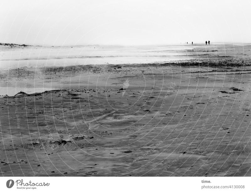 shore leave Beach Sand Horizon Water North Sea Ocean inhospitable wide Far-off places To go for a walk Hiking hike coast Gray duene