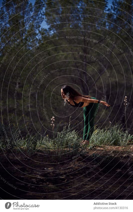 Sporty woman stretching arms up during yoga training in countryside sporty arms raised asana pose integrity calm forest sunny palm healthy nature harmony