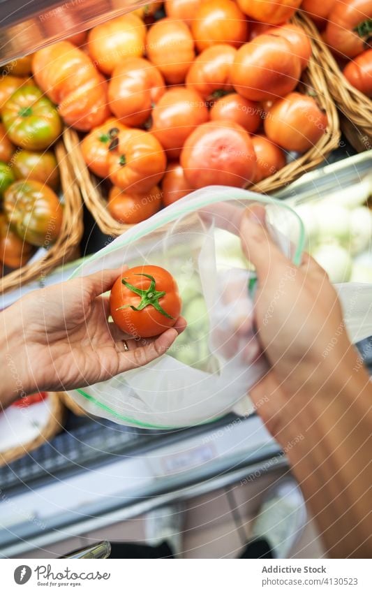 Female hand picking up tomato with recyclable bag ingredient diet agriculture glossy natural closeup ripe green nature organic raw healthy vegetable plant