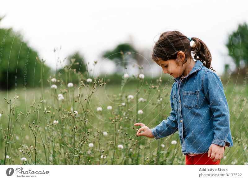 Adorable girl picking flowers on meadow field kid weekend enjoy curious child nature adorable explore tranquil freedom rest countryside childhood casual grass