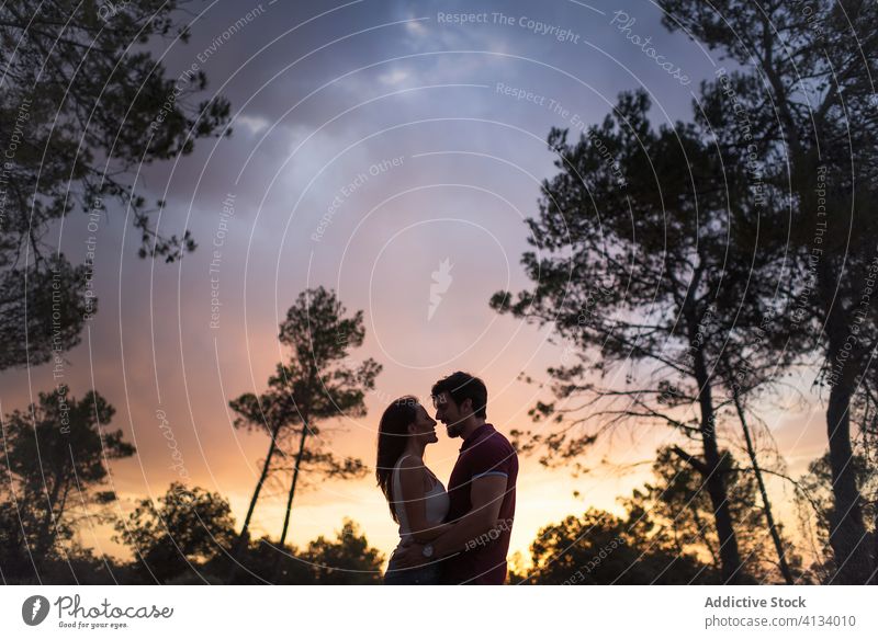 Couple in love in forest during sundown couple together unity sunset embracing tender hug dark amazing relationship romantic nature woods sky enjoy affection