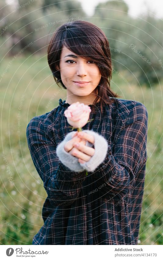 Tender woman with flower in field tender gentle rose trendy charming romantic meadow flora female green bloom nature style fresh floral elegant summer blossom