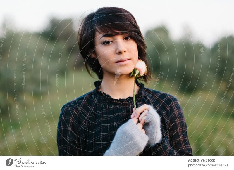 Tender woman with flower in field tender gentle rose trendy charming romantic meadow flora female green bloom nature style fresh floral elegant summer blossom