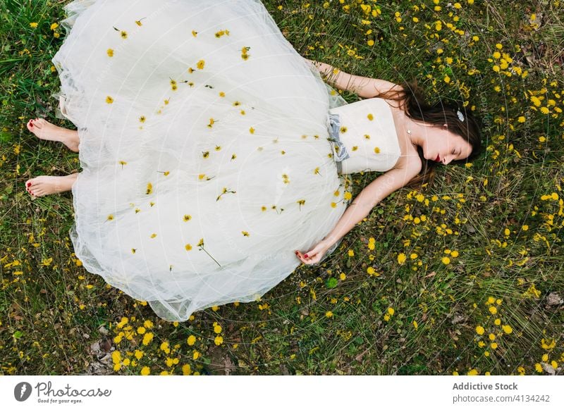 Relaxed bride lying in meadow with flowers groom caress relax dandelion newlywed female blossom together wedding lawn wedding day calm tranquil wedding dress