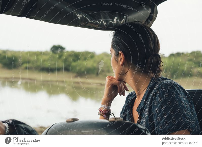 Woman in car during safari trip park woman travel wildlife admire traveler landscape wonderful female automobile freedom summer vacation sit nature vehicle