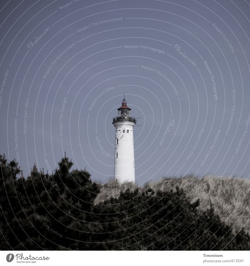 Lyngvig Fyr. Vacation & Travel Environment Nature Sky Plant Denmark Deserted Lighthouse Stand Cool (slang) Simple Blue Black White Spire Dune Bushes