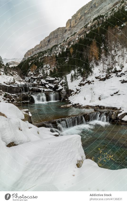 Waterfall with pool among snowy mountains waterfall forest nature landscape winter wild stream picturesque scenic environment rock scenery harmony cold season