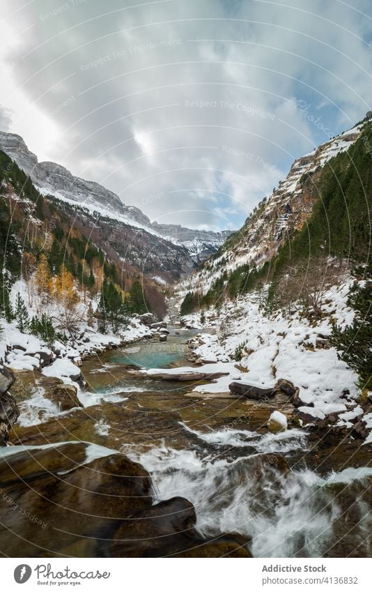 Fast river flowing through mountain valley forest autumn landscape rocky wild stream fast terrain cloudy cold nature gloomy water splash stone dark rapid