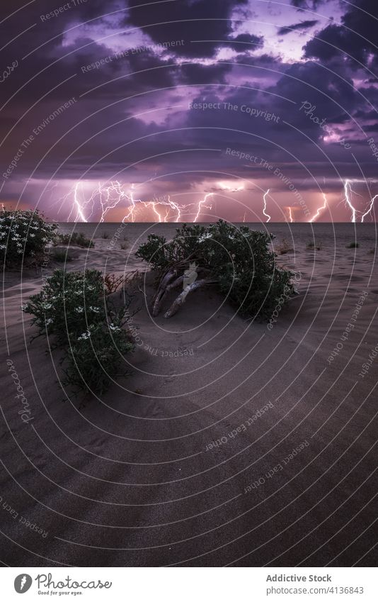 Rainbow in dark sky over dry terrain rainbow arid desolate landscape nature twilight dusk weather colorful glow dramatic environment atmosphere illuminate power