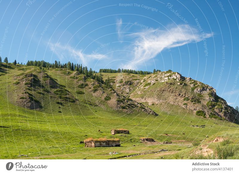 Amazing mountainous landscape with blue sky scenery grass summer meadow graze rocky balikun china terrain green magnificent nature countryside tranquil