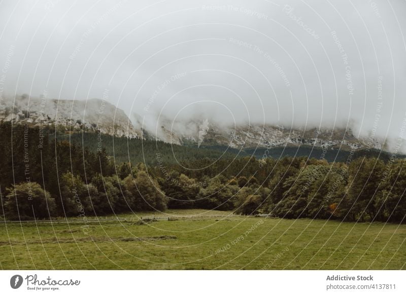 Field near mountain in foggy weather field picturesque landscape scenery idyllic countryside hill nature hillside cloudy sky tree rural quiet mist natural