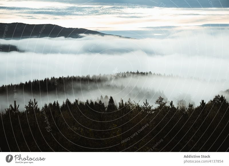 Misty valley with mountains in sunrise fog morning landscape range scenery environment highland terrain wild serene zeanuri basque country spain green haze