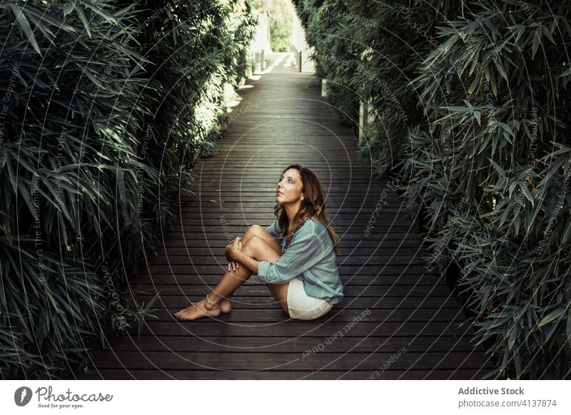 Calm woman on wooden path in park garden peaceful relax charming calm summer female tree pathway green sunny casual nature rest harmony serene lady young sit