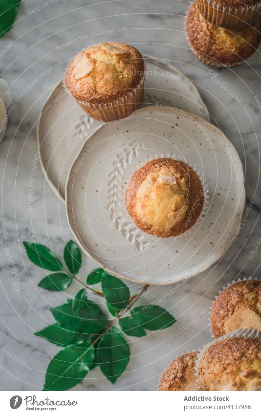 Delicious cupcakes in composition with bouquet of fragrant white flowers in vase on table food treat rose meal dessert pastry leaf fresh nutrition bloom