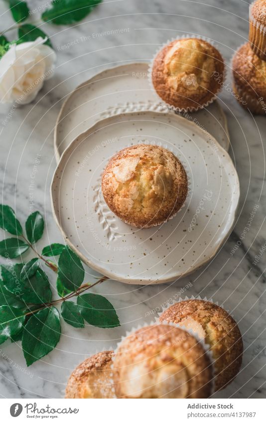 Delicious cupcakes in composition with bouquet of fragrant white flowers in vase on table food treat rose meal dessert pastry leaf fresh nutrition bloom