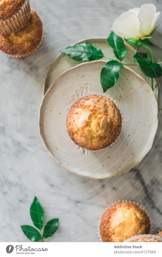 Delicious cupcakes in composition with bouquet of fragrant white flowers in vase on table food treat rose meal dessert pastry leaf fresh nutrition bloom