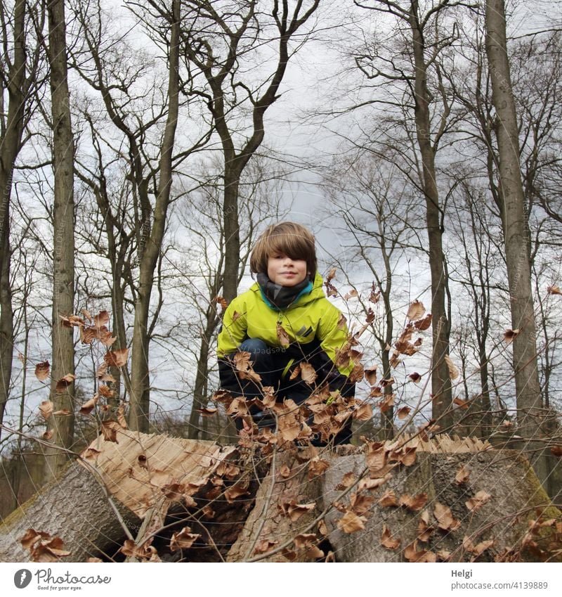 Child squats in the beech forest on a thick sawed off tree stump and looks into the camera Human being Schoolchild Forest Beech wood Tree Tree stump Spring Sky