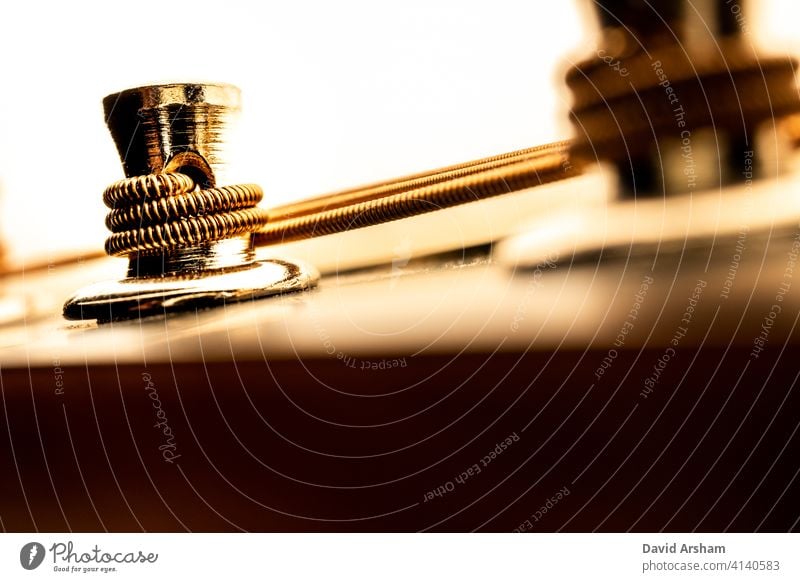 Close Up from Below of Mandolin Tuning Post instrument musical instrument no people tuning post country music brown headstock modern macro folk design metal