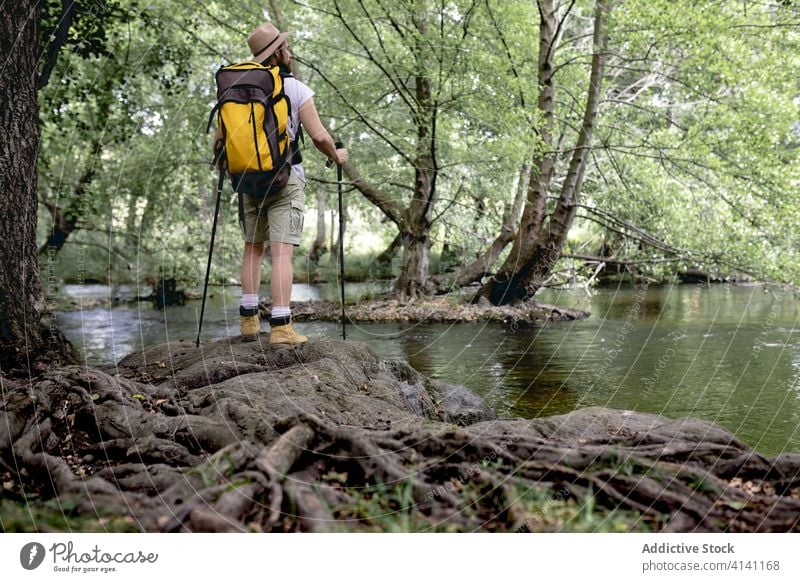 young man taking a hiking trail down a lake with many trees and natural areas looking at the landscape nature travel adventure summer trekking tourist tourism