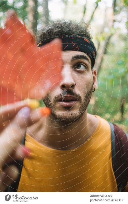 Young male traveler in forest man hike nature leaf cover face young tree autumn ethnic algonquin provincial park canada ontario plant foliage environment