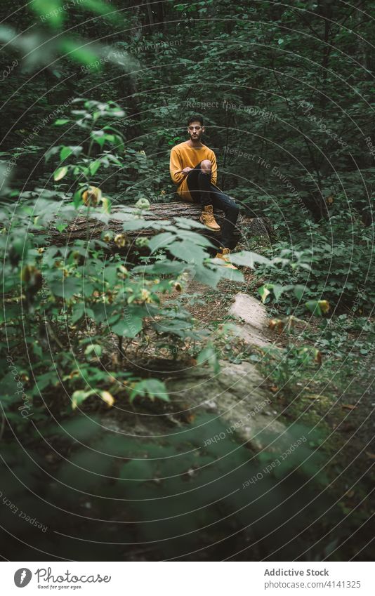 Male hiker sitting in green forest man travel log nature woods explore foliage journey tourism harmony wild enjoy silent observe male adventure