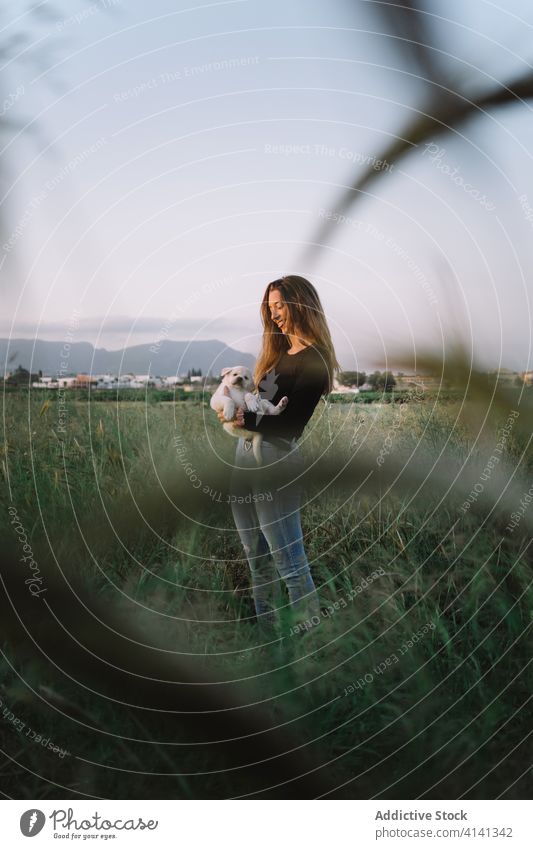 Woman with Golden Retriever puppy golden retriever fluff animal woman nature sunset small cute female happy field cheerful domestic evening young dog pet smile