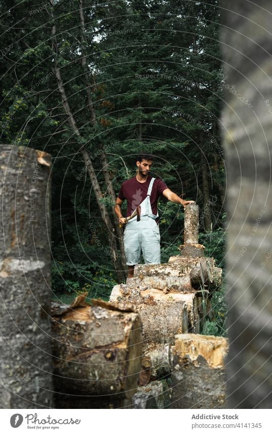 Man splitting woods in green forest man cut country travel new brunswick canada greenery lumberjack fuel lush nature tool axe equipment rural strong timber