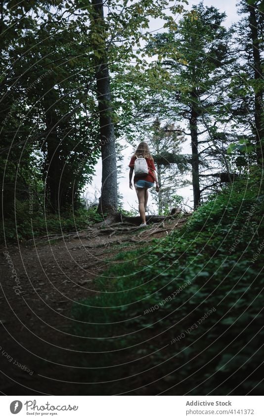 Unrecognizable woman with backpack walking on path in forest travel woods park stroll national la mauricie walkway environment canada quebec activity trail