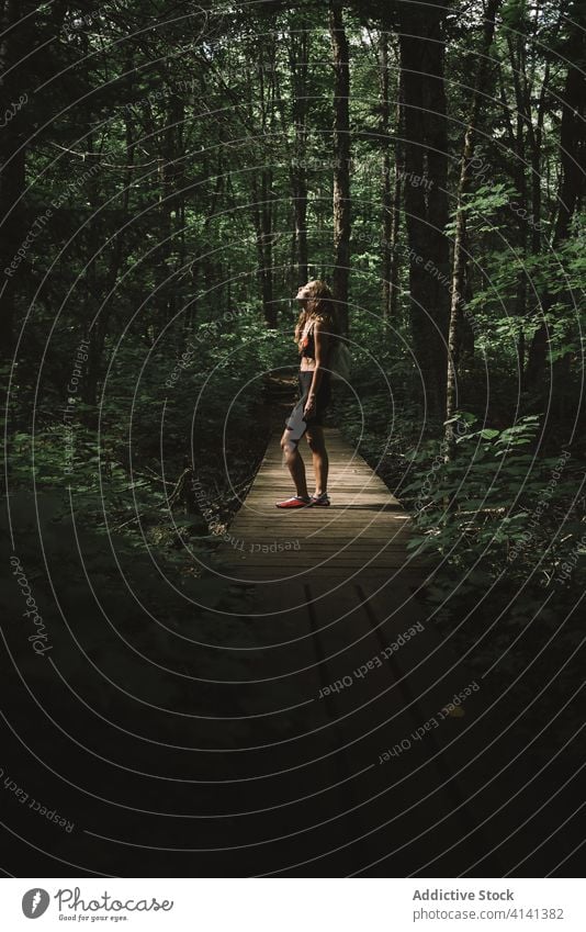 Female traveler on wooden path in forest woman explore joy weather la mauricie national park quebec canada female backpack lumber green nature tree adventure