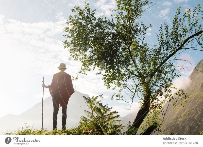 Traveler with wooden stick in highland area traveler mountain morning enjoy sunrise wanderer wanderlust staff landscape freedom peaceful idyllic nature tranquil