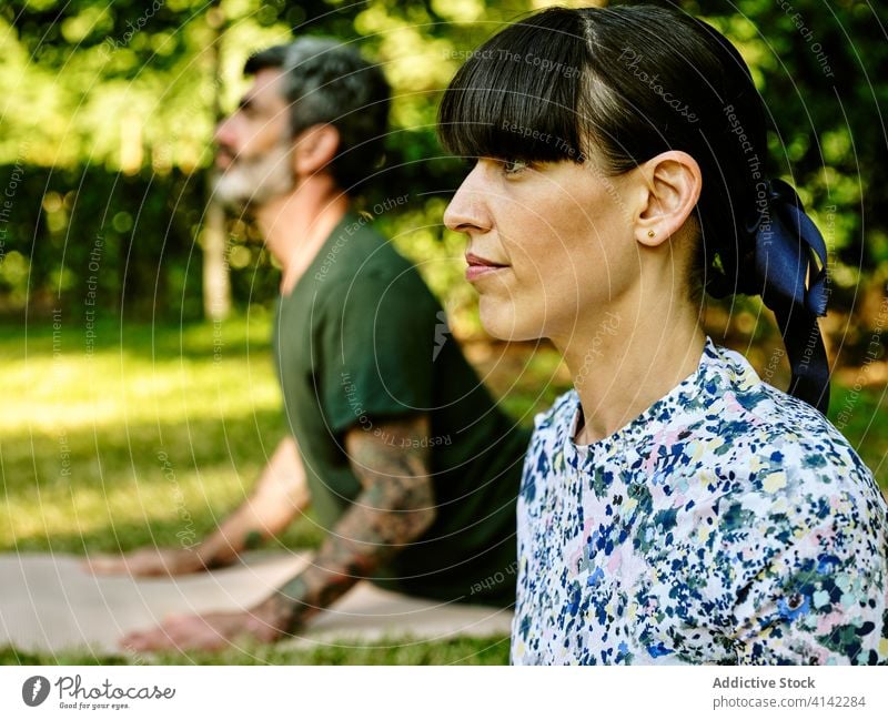 Couple doing yoga in Cobra pose in park couple cobra pose together tranquil flexible relax relationship green harmony summer wellness nature love serene