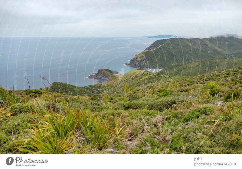 Cape Reinga in New Zealand cape reinga te rerenga wairua aupori peninsula north island new zealand coast coastal sea ocean landscape tasman sea pacific ocean