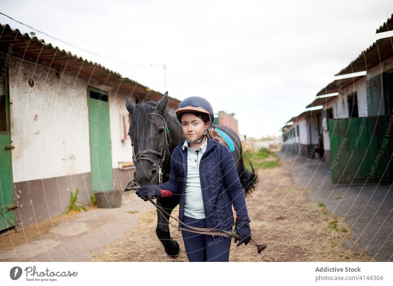 Young jockey taking horse by reins for walk on farm saddle affection bloodstock cattle pathway girl lead gentle rider cloth stroll stable grace purebred equine