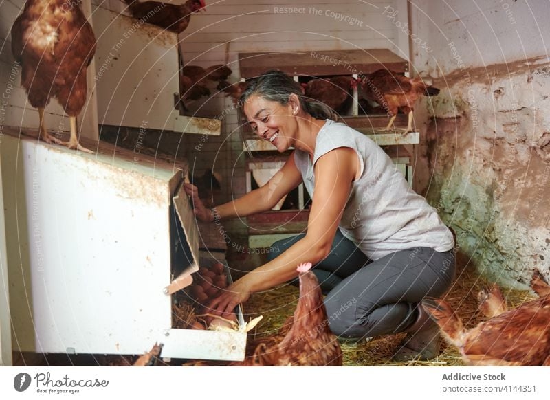 Woman in chicken coop in countryside hen house eggs woman farmer care bird barn collect female rural animal village stand domestic work ranch farmland lady