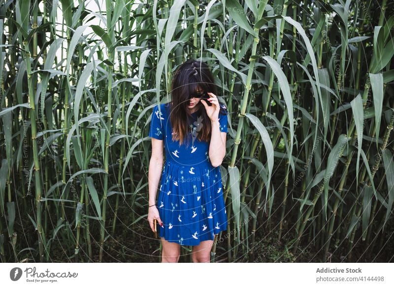 Woman in sugar cane field woman summer green countryside nature relax weekend fresh blue dress female stand greenery daytime calm peaceful harmony serene rural