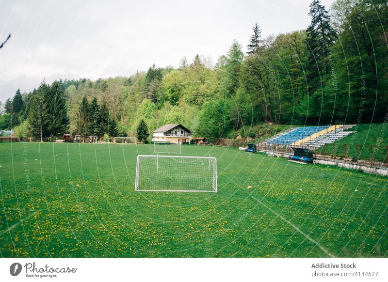 Green football field in sunny countryside nature forest green village lawn idyllic sport rural lush scenic natural rustic cottage meadow environment house cozy